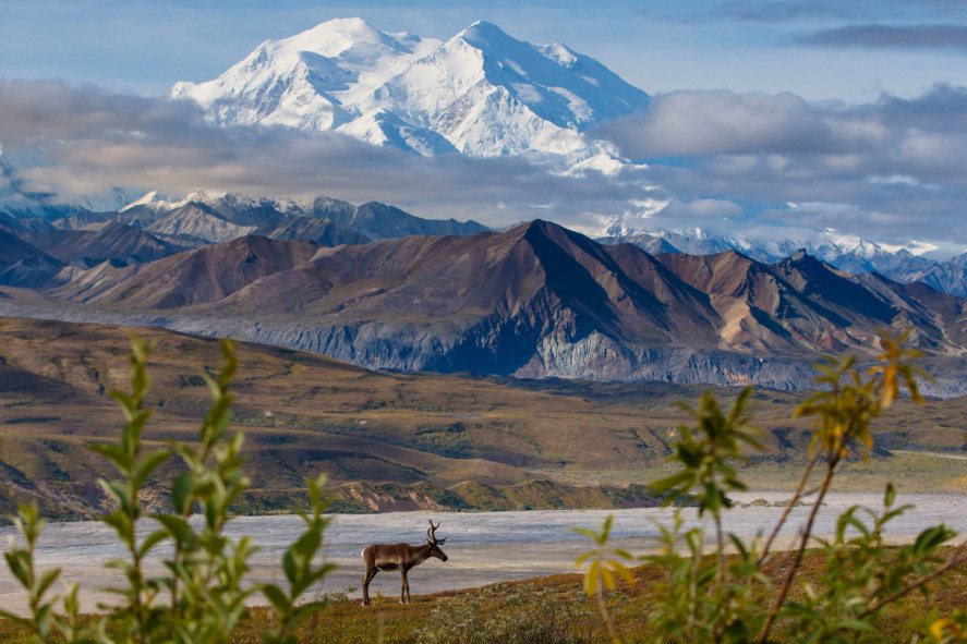 Denali, Alaska - One Travel Girl